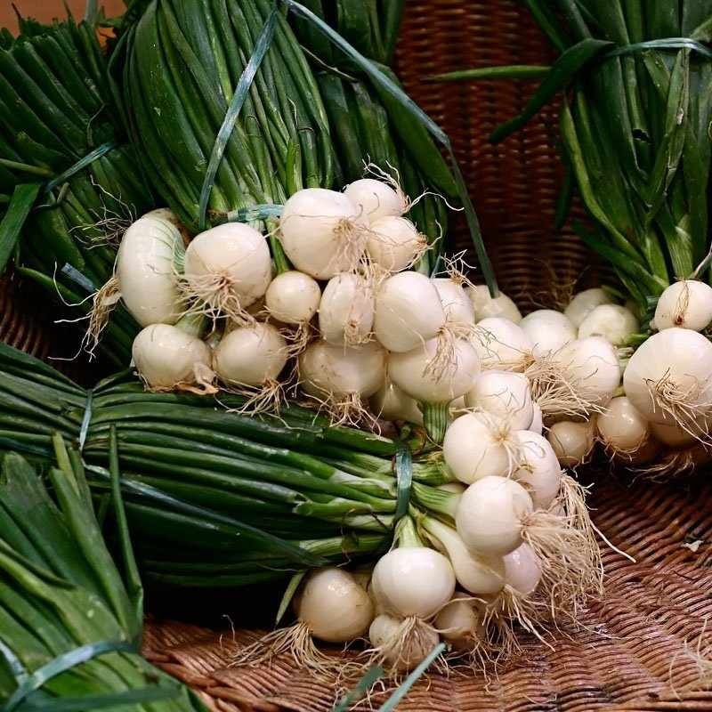 Cebula dymka snowball (8-21 mm) - odmiana średnio wczesna biała 500g (1).jpg