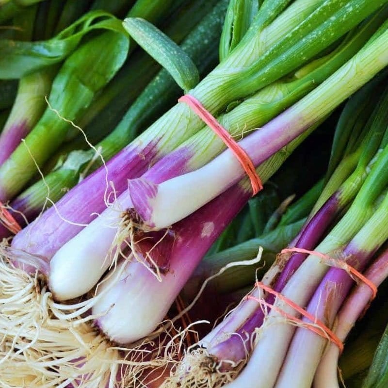 Cebula dymka Karmen (8-21 mm) - odmiana średnio późna czerwona 500g (1).jpg