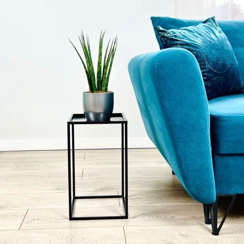 Sansewieria cylindryczna roślina domowa P12