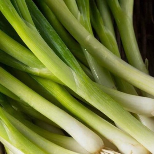 Cebula dymka EFEKT poźna żółta 250g