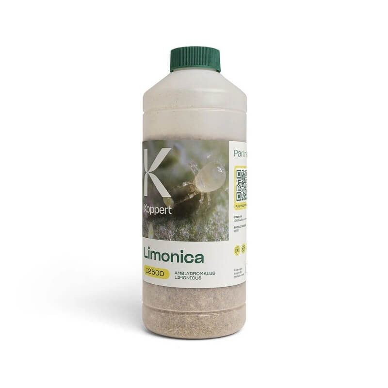 LIMONICA 12 500 drapieżne roztocze (zwalcza mączlika) 1 litr ochrona (2).jpg