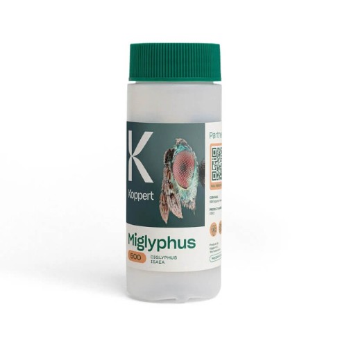 MIGLYPHUS 500 Wiechońka miniarkowa 100ml