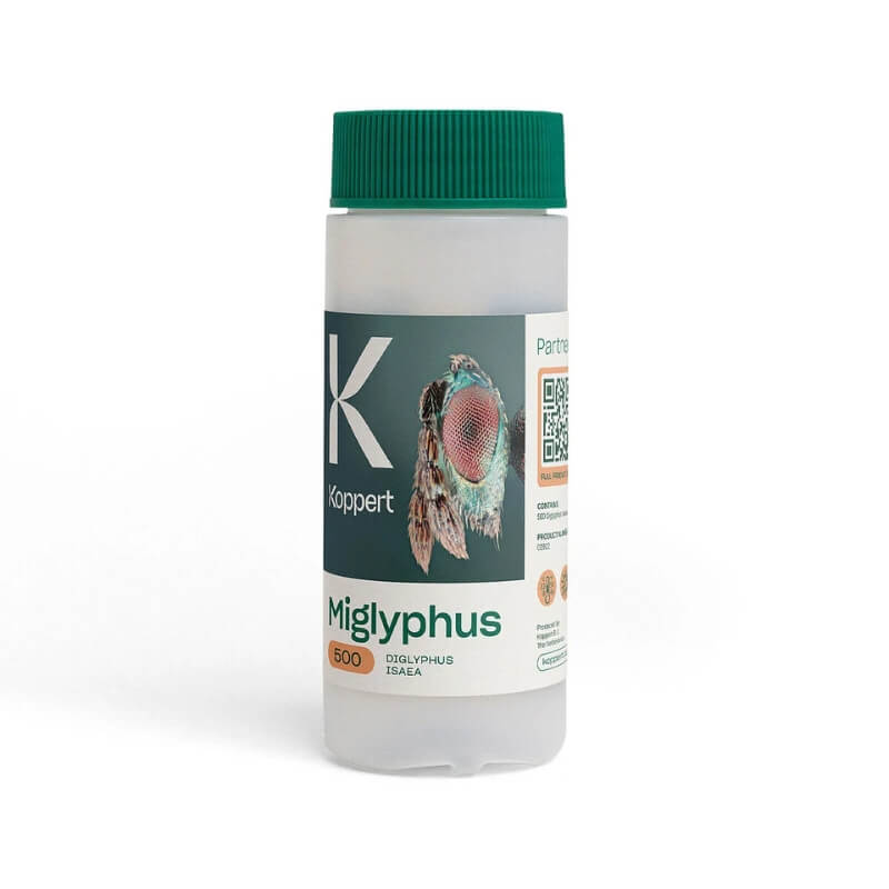 MIGLYPHUS 500 Wiechońka miniarkowa (do zwalczania miniarek) 100ml ochrona (1).jpg
