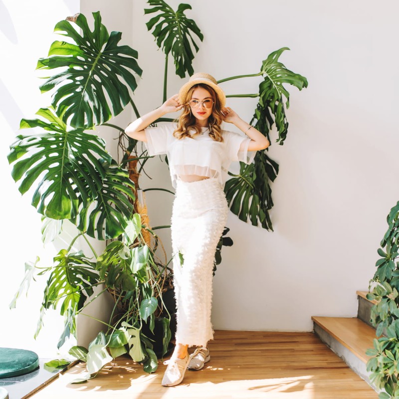 Monstera dziurawa p17 pielęgnacja