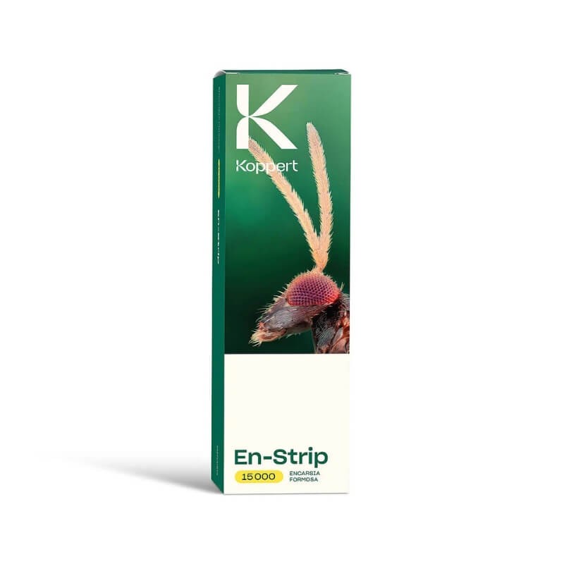 EN-STRIP ½ 50 karteczek Encarsia formosa 7500 ochrona (1).jpg