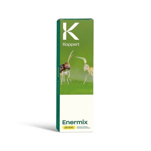 ENERMix dobrotnica szklarniowa + osiec mączlikowy