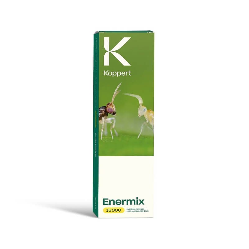 ENERMIX dobrotnica szklarniowa (Encarsia formosa) + osiec mączlikowy (Eretmocerus eremicus) ochrona (1).jpg
