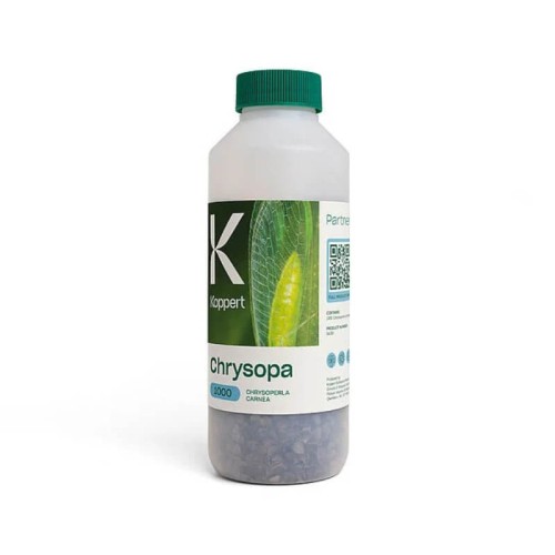 CHRYSOPA złotook pospolity 500ml