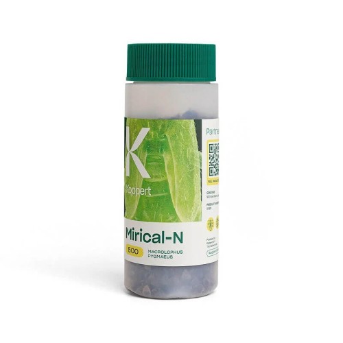 MIRICAL dziubałeczek mączlikowy 100ml