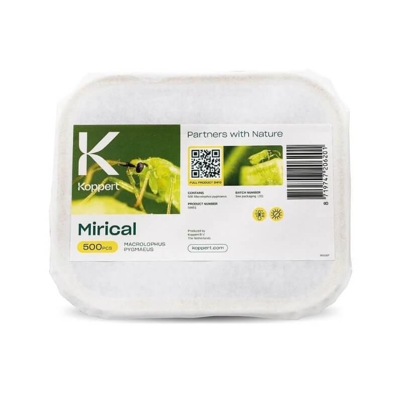 MIRICAL-N nimfy dziubałeczka mączlikowego (zwalcza mączlika) 100ml ochrona (1).jpg