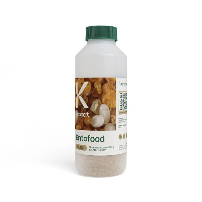 ENTOFOOD pokarm dla dziubałeczka mączlikowego ochrona (2).jpg