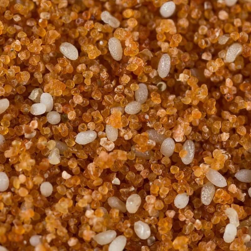 ENTOFOOD pokarm dla dziubałeczka mączlikowego ochrona (3).jpg