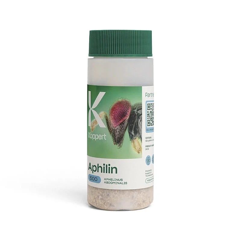 APHILIN 500 Osiec mszycowy (zwalcza mszycę ziemniaczaną) 100ml ochrona (2).jpg