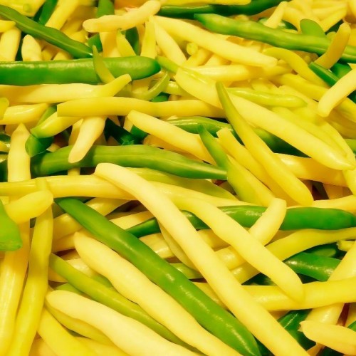 Kolekcja fasol szparagowych karłowych nasiona