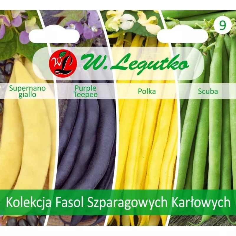 Kolekcja fasol szparagowych karłowych zestaw 4 odmian nasiona (2).jpg