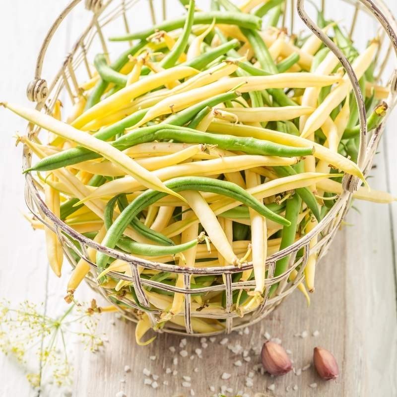 Kolekcja fasol szparagowych tycznych zestaw 4 odmian nasiona (3).jpg