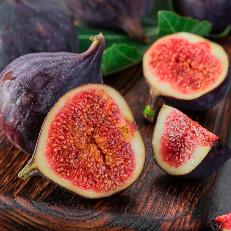 Figowiec Brown Turkey (Ficus carica) Sadzonka C1.jpg