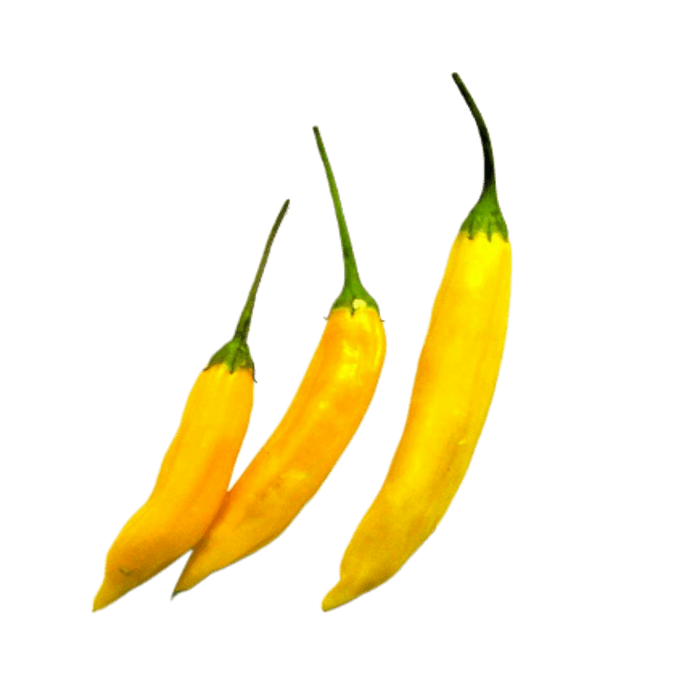 Papryka ostra PERU LEMON CHILLI (4).png
