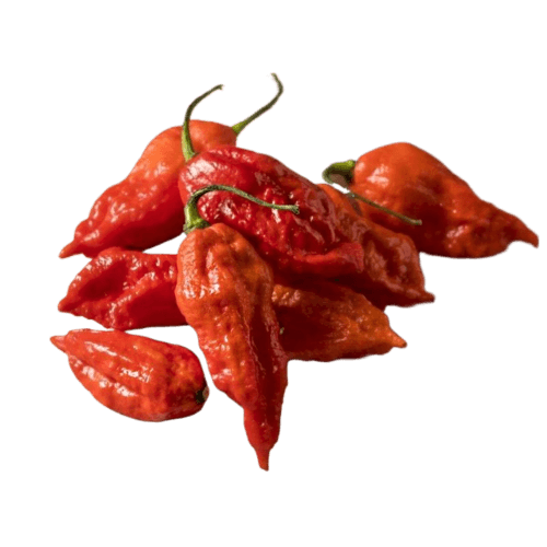 Papryka ostra JĘZYK DIABŁA czerwona (1).png