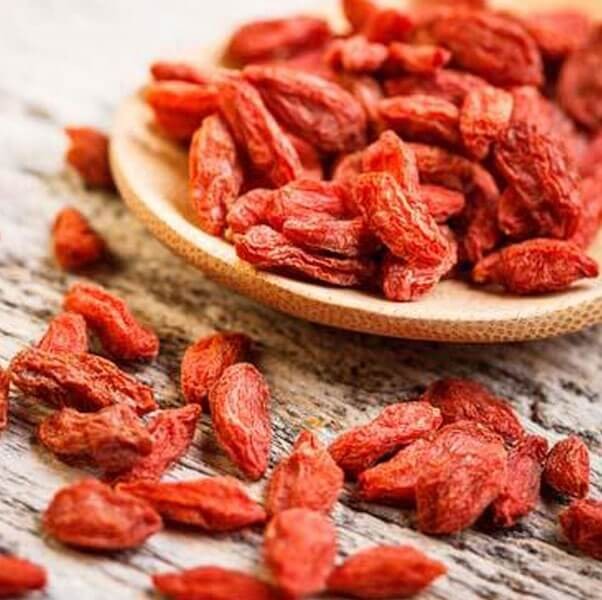 Jagody Goji NEW BIG (Lycium barbarum) Kolcowój szkarłatny, 3 letnia Sadzonka.jpg