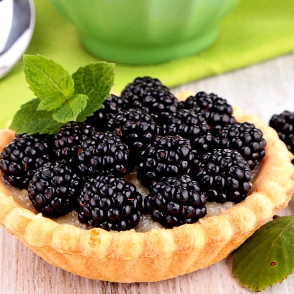 Jeżyna bezkolcowa LOCH NESS (Rubus fruticosus) 3 letnia Sadzonka C2 60-90cm (1).jpg