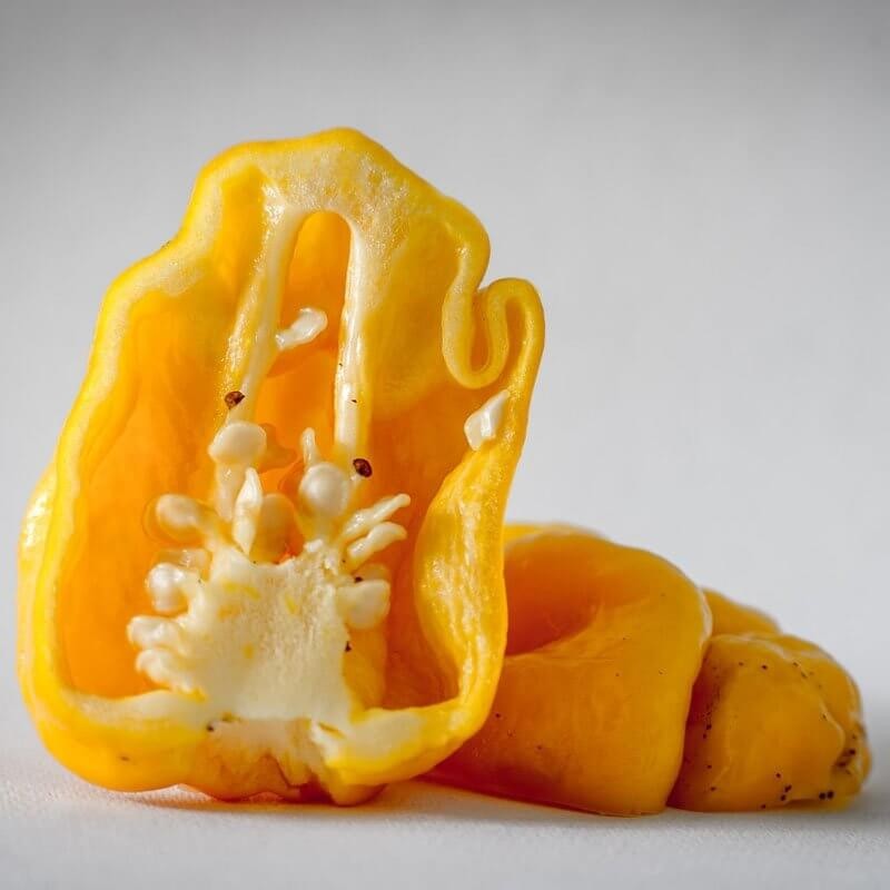 Papryka ostra TRINIDAD MORUGA SCORPION żółta (3).jpg