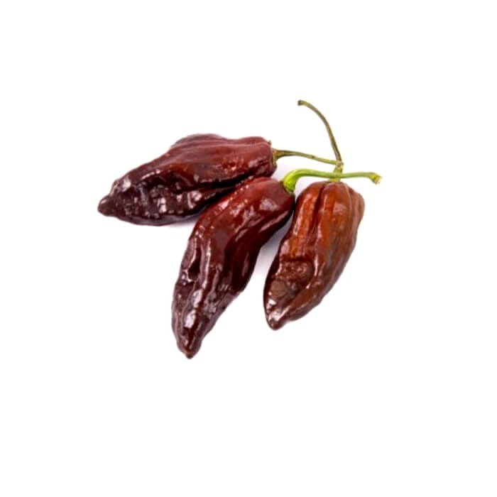 Papryka ostra BHUT JOLOKIA czekoladowa  (4).jpg