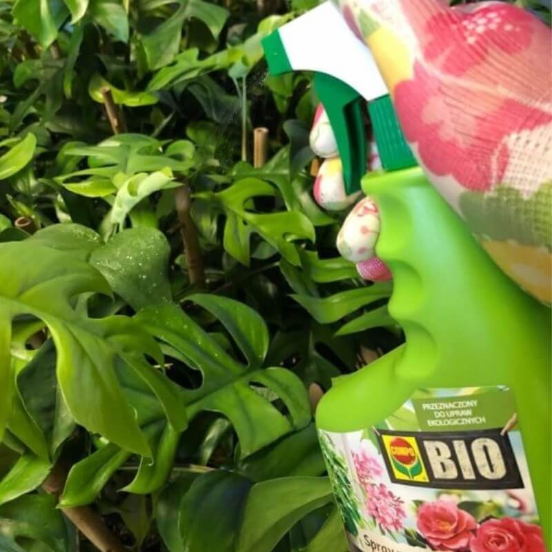 Ekologiczny spray na mszyce i inne szkodniki. COMPO BIO 750ml spray (3).jpg