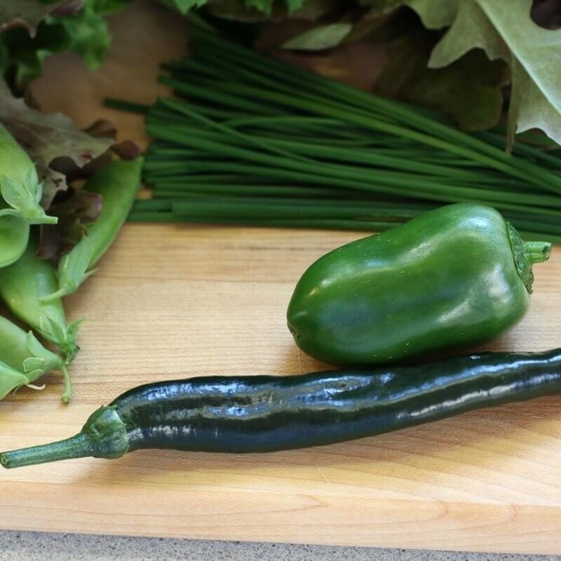 Papryka czarna Ostra Pasilla Bajio Chilli nasiona (6).jpg