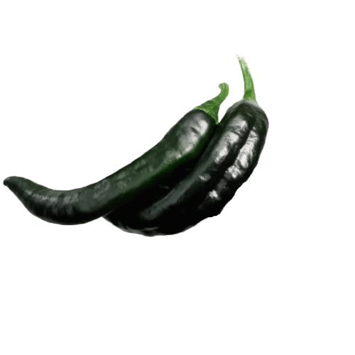 Papryka czarna Ostra Pasilla Bajio Chilli nasiona (4).png
