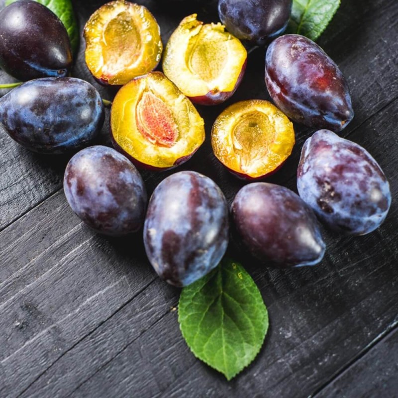 Mini Śliwa (Prunus) Sadzonka C6 (2).jpg