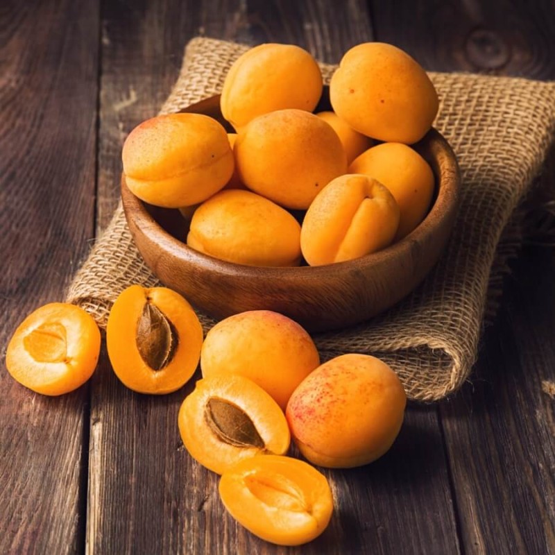 Morela kolumnowa Compacta (Prunus armeniaca) Sadzonka C3,5