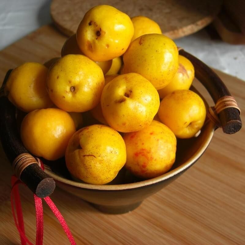 Pigwowiec Japoński Cido (Chaenomeles japonica) Doniczkowana Sadzonka C1 (2).jpg