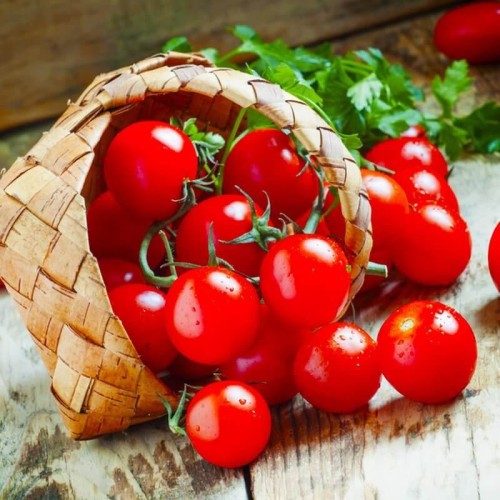 Pomidor koktajlowy cherry (Rozsada warzyw) sadzonka P8