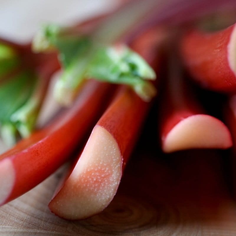 Rabarbar Lider rheum rhabarbarum Sadzonka C1,5 (2).jpg