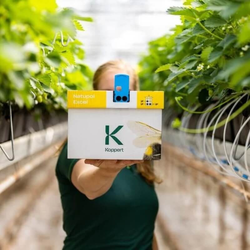 Natupol EXCEL Ul z trzmielami na uprawy w niesprzyjających warunkach oświetleniowych owady (3).jpg