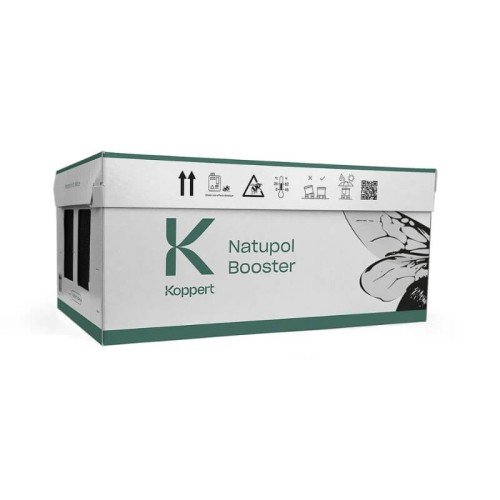 Natupol BOOSTER Trzmiele do upraw krótko kwitnących