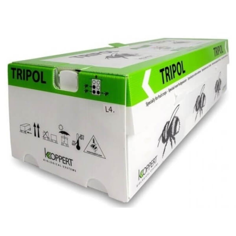 TRIPOL Trzmiele do zapylania sadów i upraw polowych typu borówka amerkańska lub malina owady (1).jpg