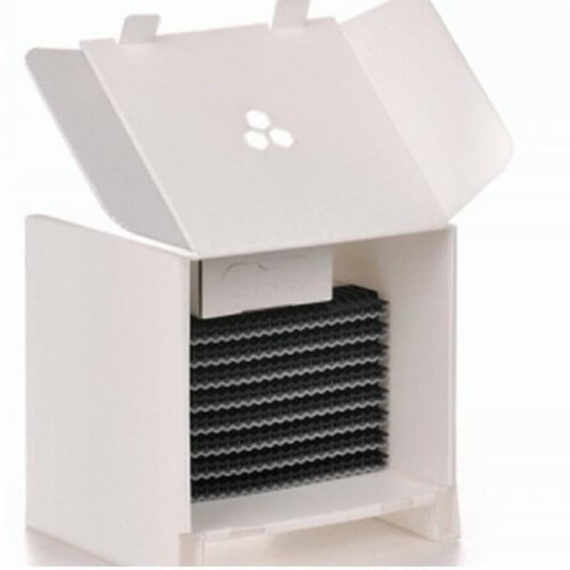 Ul pszczelinka wersja MINI OWADY (1).jpg