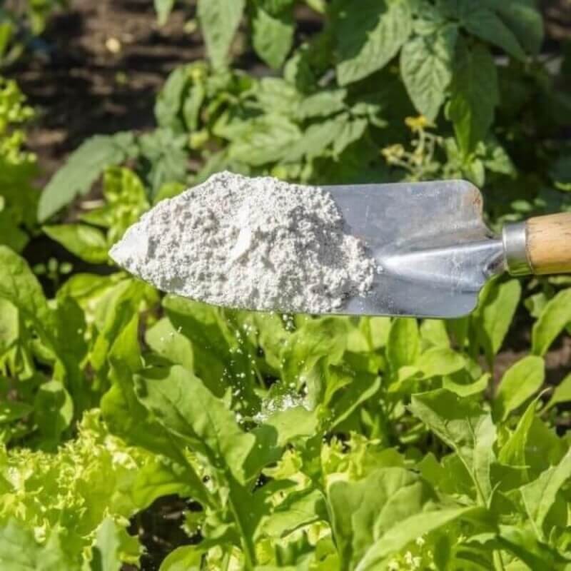 Diatomit - ziemia okrzemkowa odstraszy pluskwy, karaluchy i inne szkodniki 2kg preparaty (3).jpg