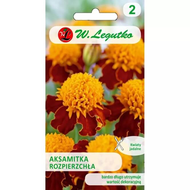Aksamitka rozpierzchła, Orange Flame (Tagetes patula nana) nasiona 1g.jpg