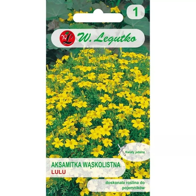 aksamitka wąskolistna, Lulu (Tagetes tenuifolia) nasiona 0,3g.jpg