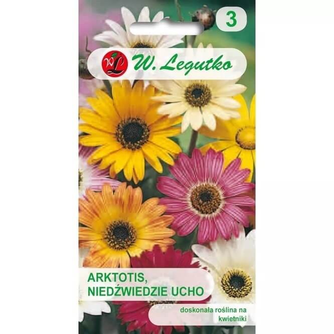 Arktotis - Niedźwiedzie ucho, mieszanka (Arctotis x hybrida) 0,5g nasiona (2).jpg