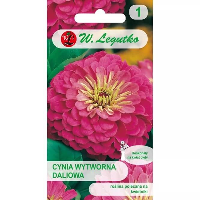 cynia wytworna-daliowa 'Illumination' Różowa (Zinnia elegans fl. pl. dahliaeflora) nasiona 1g.jpg