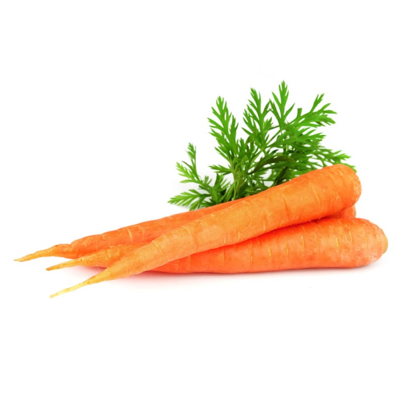 Marchew AMSTERDAM 2 Wczesna XL 100g nasiona (1).jpg