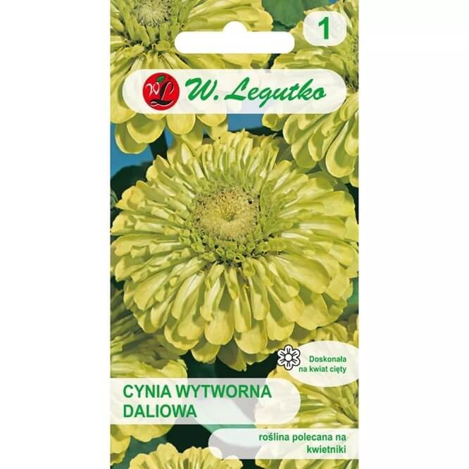 Cynia wytworna-daliowa Zielona 'Envy' (Zinnia elegans fl. pl. dahliaeflora) nasiona 1g.jpg
