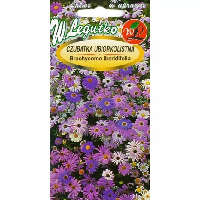 Czubatka ubiorkolistna, mieszanka (Brachycome iberidifolia) nasiona 0,2g.jpg