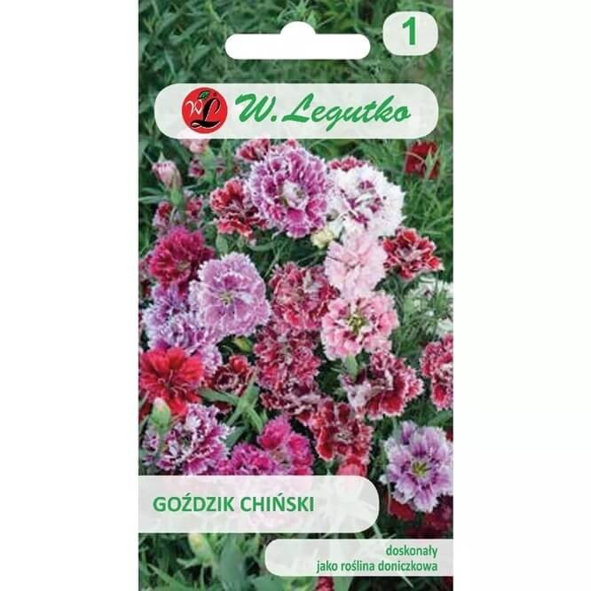 Goździk chiński, mieszanka (Dianthus chinensis) nasiona 1g (1).jpg
