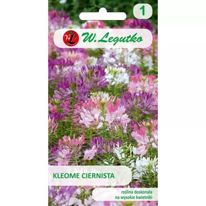 Kleome ciernista mieszanka (Cleome spinosa) nasiona 0,5g (2).jpg