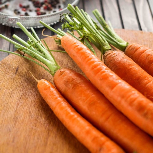 Marchew AMSTERDAM 2 wczesna XL 100g